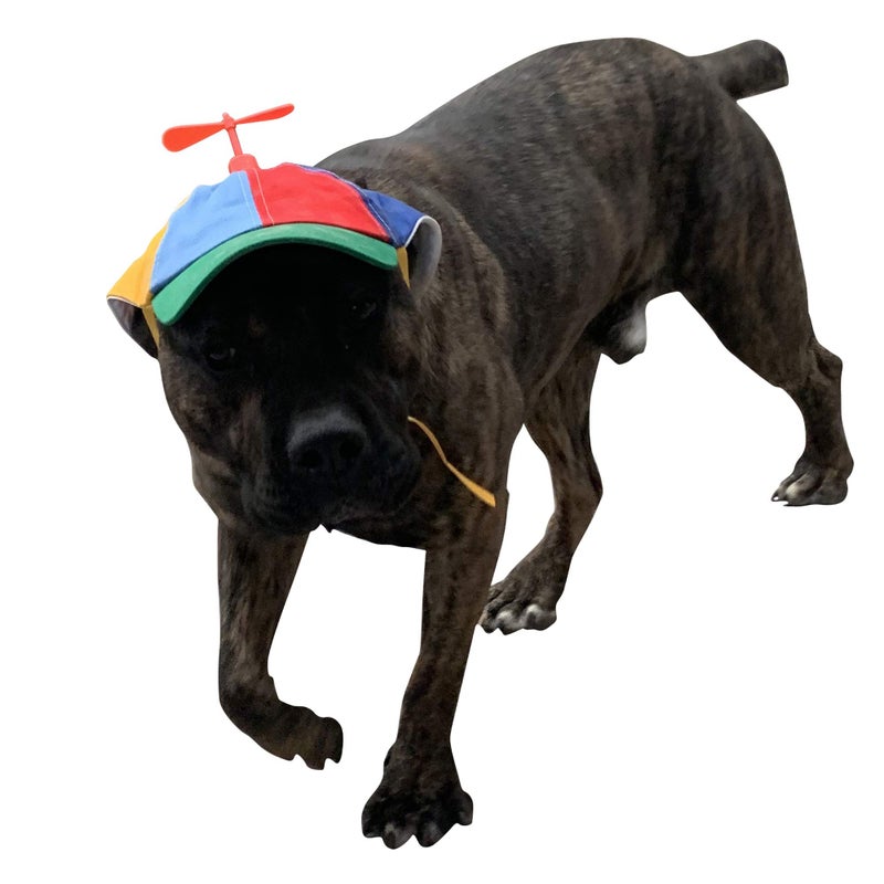 GEANBAYE Dog Hats with Funny Propeller, Size and Rope Double Adjustment Pet Hats for Small ï¼ŒMediumï¼Œ Large Dog and Cat (Iridescent) - Image 2